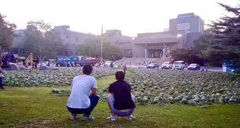 民大体院吃瓜事件,揭秘校园网络舆论风波