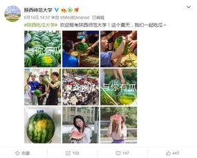 各高校吃瓜网站