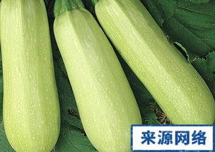 角瓜孕妇可以吃,角瓜——孕妇的理想食材