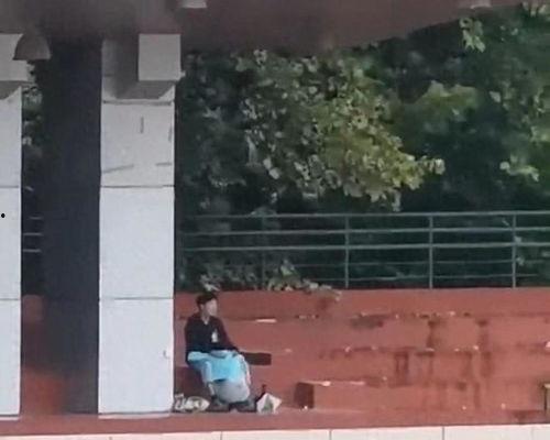 沂南吃瓜事件视频,一场网络热议的乡村奇观揭秘