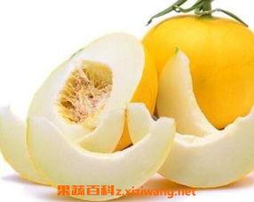 伊丽莎白的瓜怎么吃,伊丽莎白瓜的多样食用指南