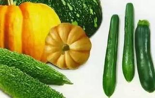 央视 吃瓜,吃瓜群众背后的故事