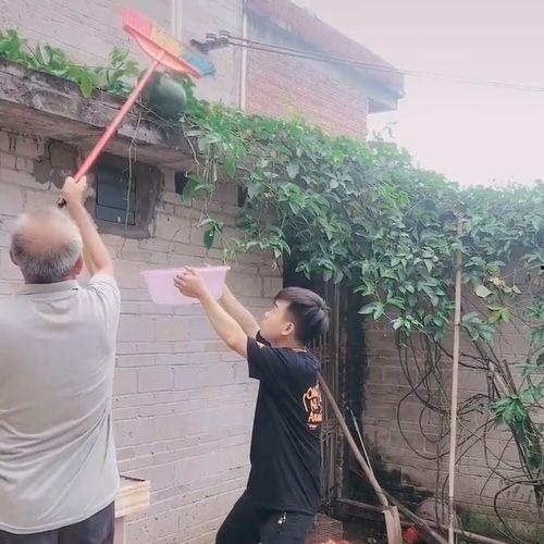 买了瓜还没吃瓜碎了一地,未尝之瓜的遗憾之旅