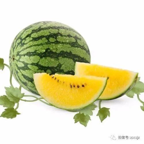 吃瓜盒子月费,畅享娱乐新体验的性价比之选