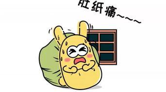 吃瓜群众团建,欢乐互动，共度美好时光