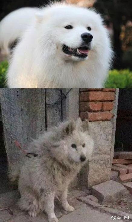 焕儿吃瓜 fun,揭秘娱乐圈幕后故事