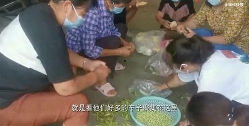 缅北村民吃瓜事件视频,一场引发热议的乡村奇观