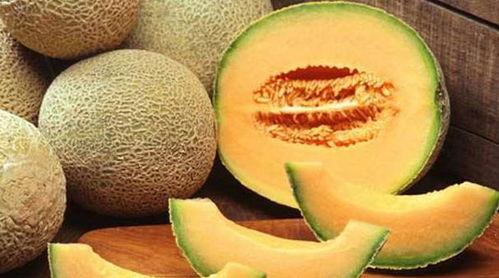 哈密瓜弟弟吃哈密瓜,一场与哈密瓜的邂逅