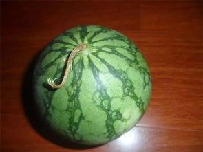 吃瓜勿传瓜,揭秘网络谣言背后的真相