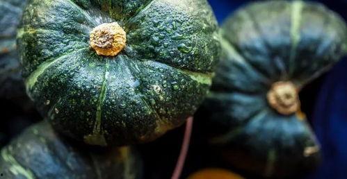 胖皇在线吃瓜,揭秘娱乐圈幕后风云