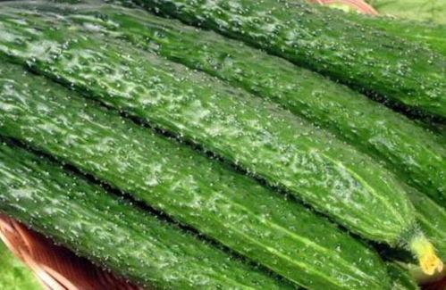 瓜冻了怎么吃,瓜冻美味新体验