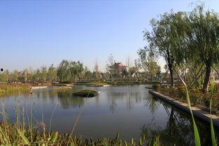 济宁小北湖吃瓜,尽享清凉时光