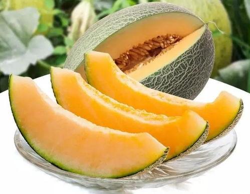 瓜州免费吃瓜吗,免费瓜果盛宴等你来尝