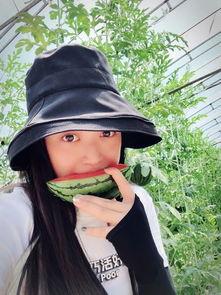 吃瓜群众momo,揭秘娱乐圈幕后故事