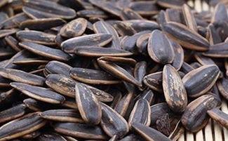 可以吃瓜子的瓜,尽享美味瓜子时光