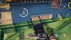 皮皮瓜视频吃鸡,趣味横生的欢乐之旅