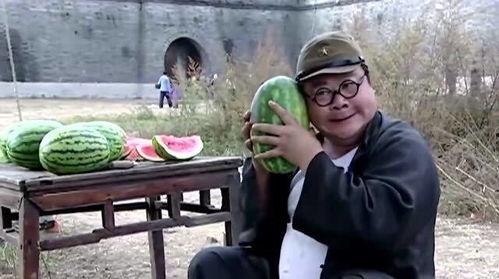 翻译官汉奸吃瓜,翻译官视角下的历史风云