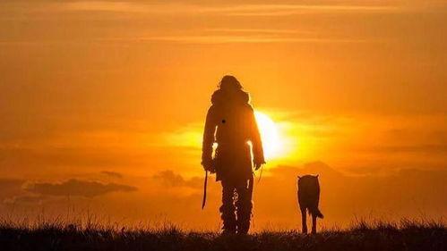 吃瓜蒙主文明,揭秘古代神秘文化的魅力与奥秘