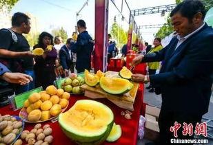 郓城最新吃瓜新闻,揭秘当地热门事件背后的真相