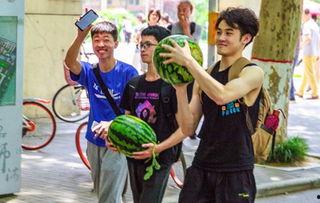 吃瓜交通学校,揭秘交通法规背后的趣味故事