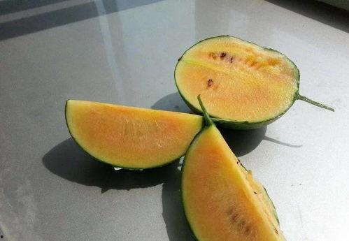 彩虹社吃瓜,揭秘网络红人的幕后故事