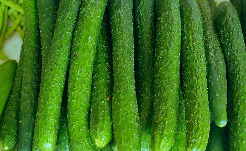 吃瓜 男女 照片区别,照片中的性别差异解析