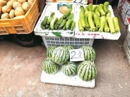 自由吃瓜基地班,揭秘校园里的欢乐乐园