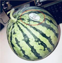 网红吃瓜千万,揭秘网络热点的背后真相