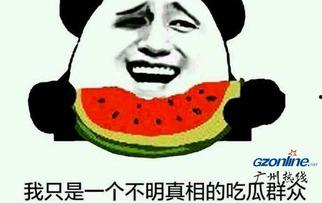 你吃不吃网上的瓜啥意思,揭秘网络八卦的诱惑与影响