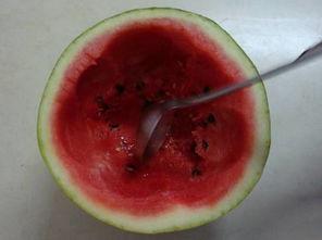 吃瓜昏迷,揭秘背后惊人真相