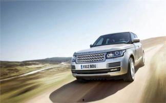 大雄的吃瓜日记厦门路虎,揭秘厦门路虎风云