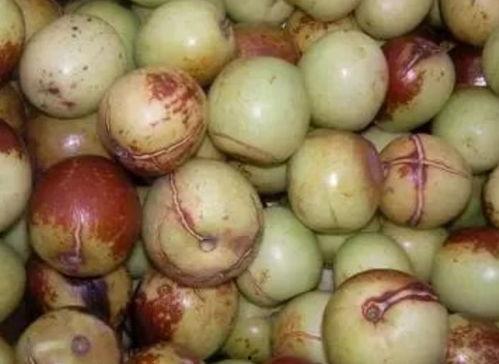 歪瓜咋吃,探索独特食材的烹饪艺术