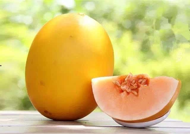 竟然有人吃瓜,揭秘那些令人惊讶的“吃瓜”故事