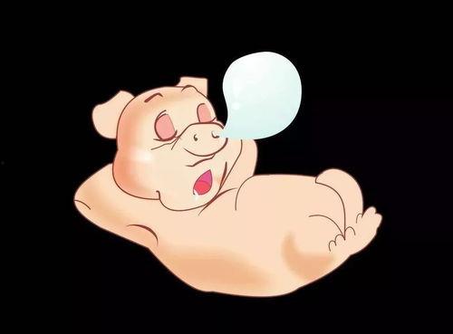 为什么胖子吃瓜,胖子为何偏爱吃瓜，探寻背后的健康密码