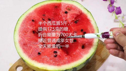 吃瓜能得到知识,从娱乐八卦中汲取知识的力量