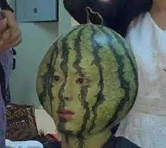 东京留学圈吃瓜,揭秘留学生活中的“吃瓜”趣事