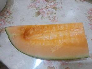 吃瓜炸裂大瓜怎么做好吃,探索炸瓜的独特风味