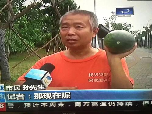 吃瓜热门事件山东,揭秘背后真相与网络舆论风暴