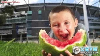 老外吃瓜表情包,全球网友的欢乐源泉