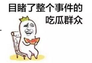 吃瓜绿大案是谁