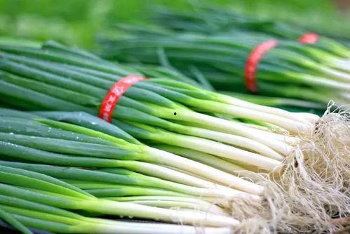 米米吃大瓜,揭秘娱乐圈的甜蜜与苦涩