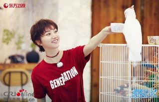 王源假性吃瓜,揭秘明星圈层里的“误会”风波