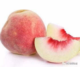 雪圈桃子吃瓜,揭秘娱乐圈的甜蜜与苦涩