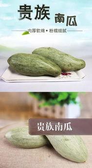 口嗨吃瓜,揭秘网络热议背后的真相与笑料