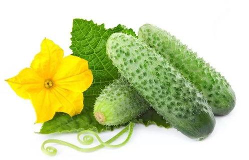 苏灵吃瓜系统,揭秘娱乐圈幕后真相，带你领略明星们的真实生活