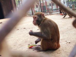 吃瓜邯郸公园,吃瓜群众的欢乐聚集地