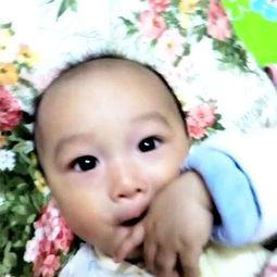 哼哼吃熙瓜,一场甜蜜的夏日邂逅