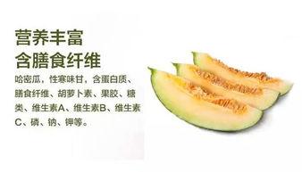 新疆哈密吃瓜趣事,甜蜜夏日里的欢乐时光